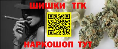 индика Владимир