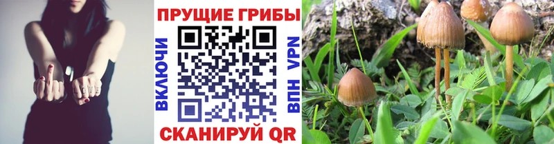 hydra сайт  купить наркотик  Красноперекопск  Галлюциногенные грибы ЛСД 