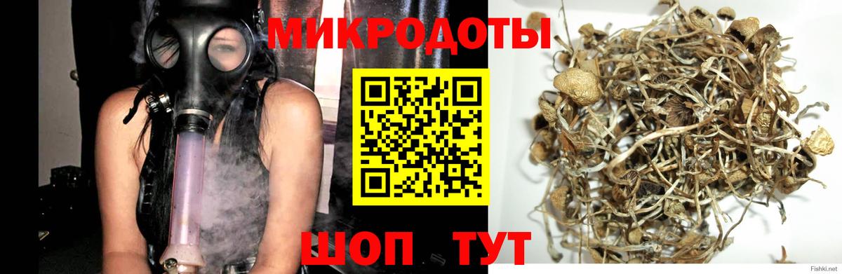 Псилоцибиновые грибы мухоморы  Вход с VPN  Красноперекопск  Псилоцибиновые грибы MAGIC MUSHROOMS 